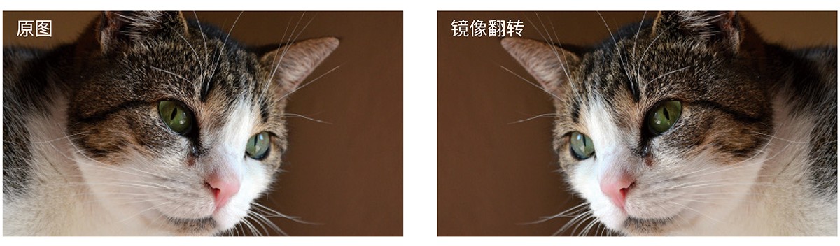 24英寸P3電影級監(jiān)視器