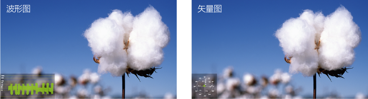 17英寸12G-SDI 8K監(jiān)視器